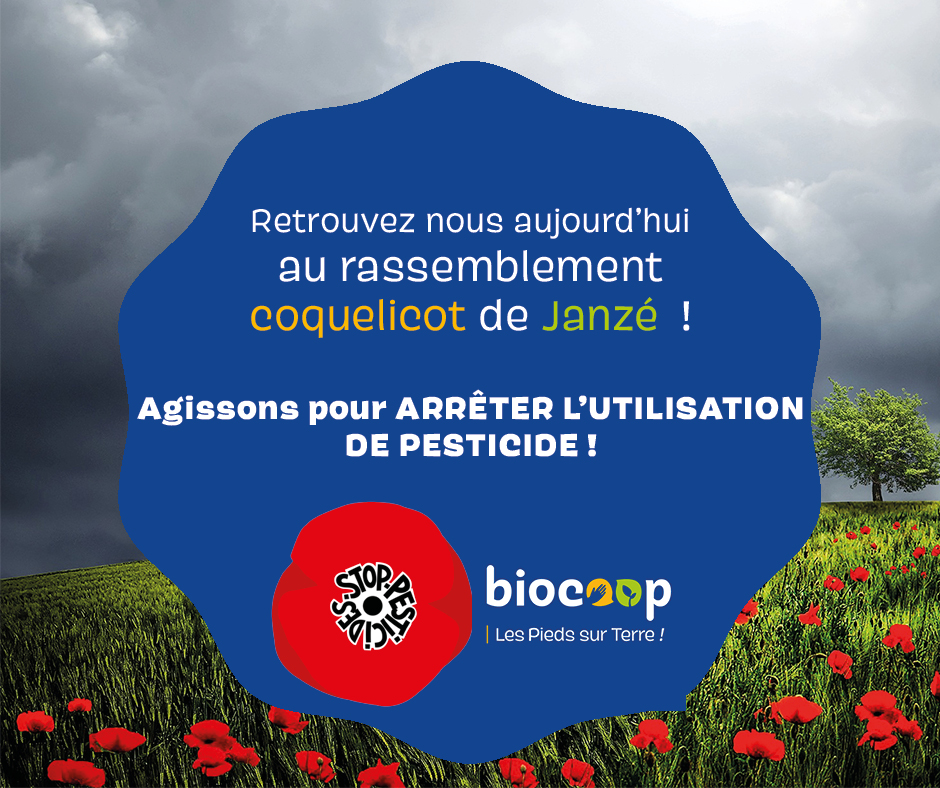 Biocoop soutient l’Appel des coquelicots Biocoop soutient l’Appel des coquelicots